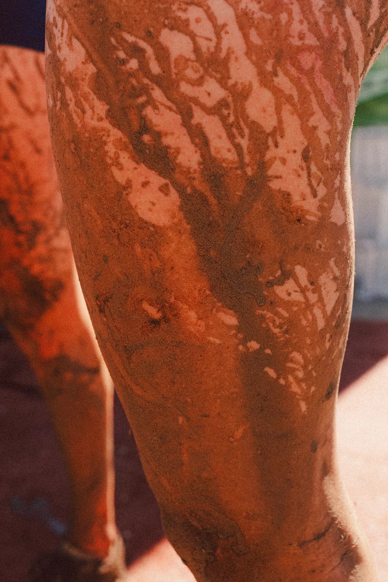 World Athletics Cross Country Championship - Photo 14