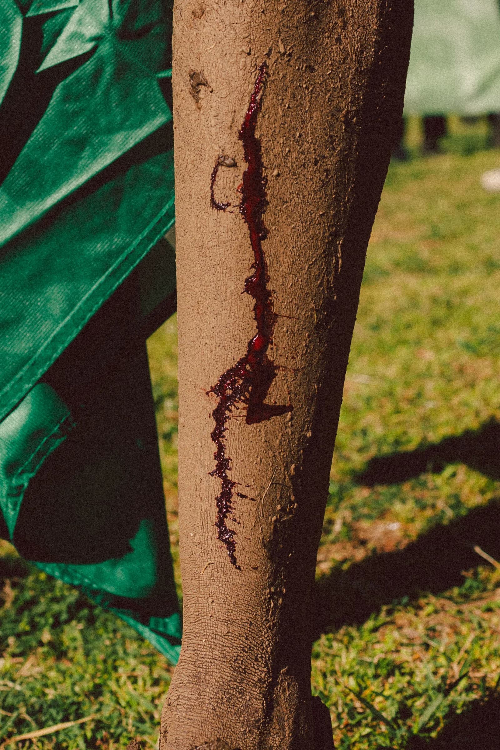 World Athletics Cross Country Championship - Photo 16