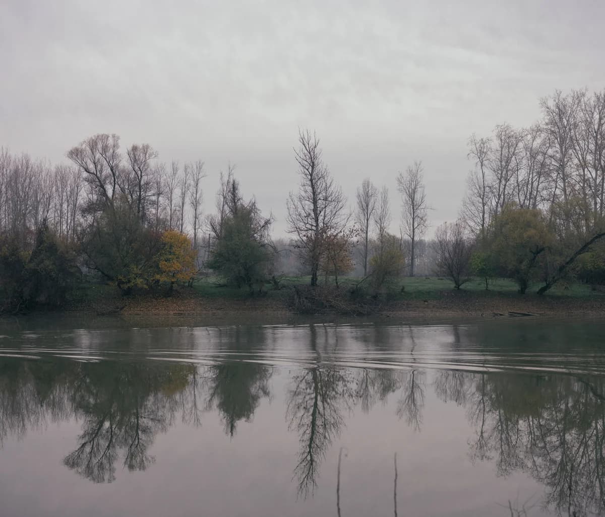 Danube Division - Photo 1