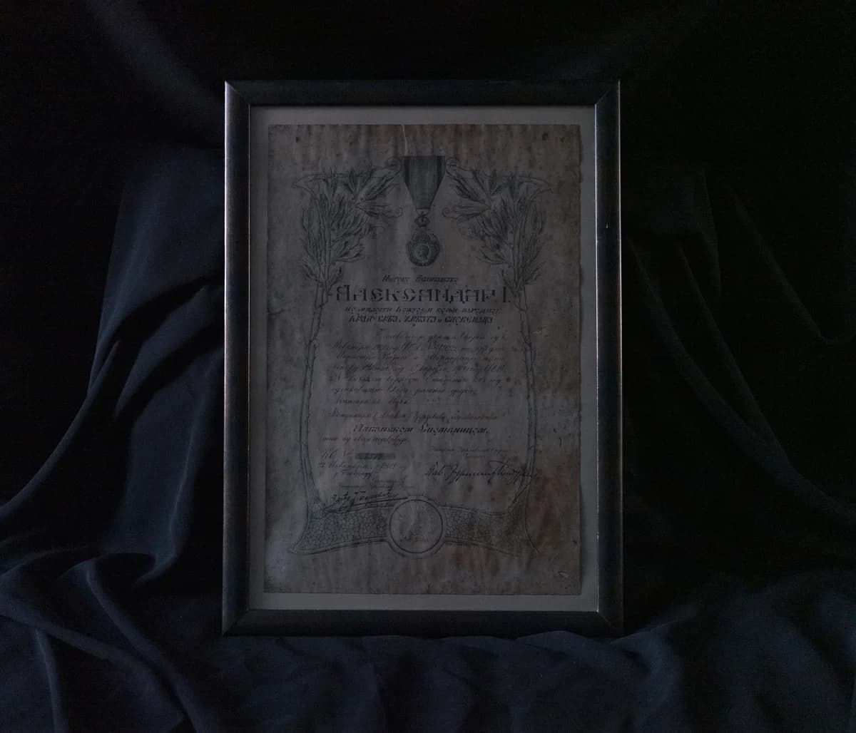 Danube Division - Photo 7