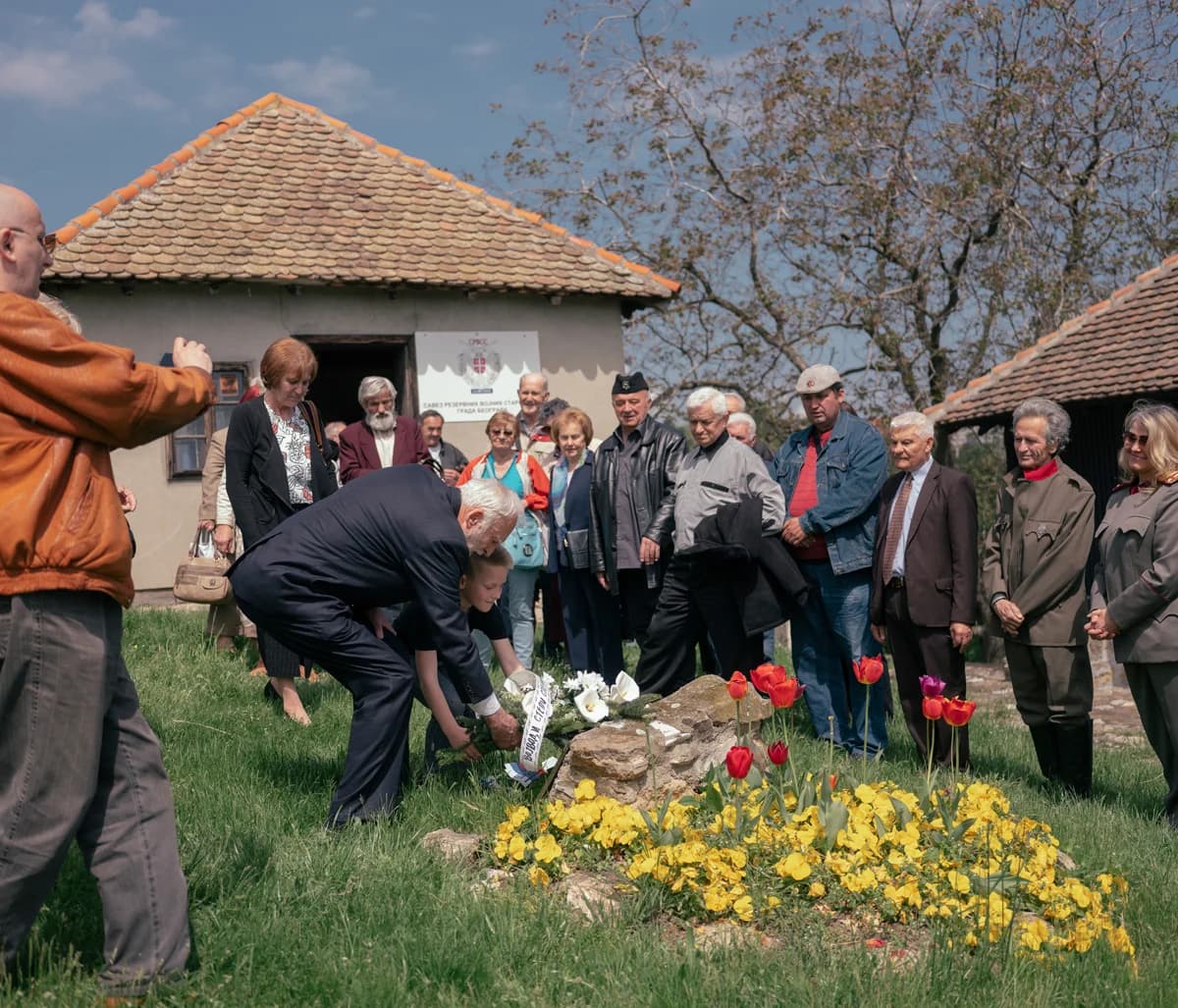 Danube Division - Photo 8